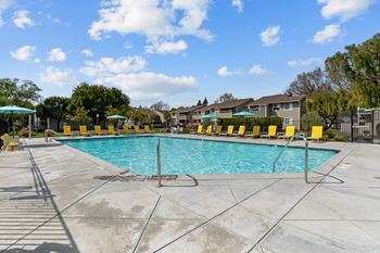 The alexandar apartments in santa rosa, california swimming pool